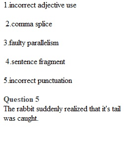 Exercise 5.2 Identifying Grammatical Issues